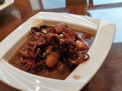 活八爪鱼炖红烧肉-赶海部落海鲜城(海阳路店)