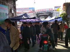 -桂林市花鸟市场