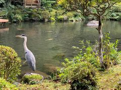 -ステーキハウス吉池