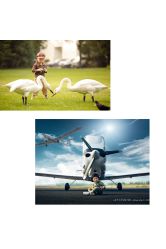 点击看大图 -Angel Fish photography 儿童摄影工作室(亚运村店)