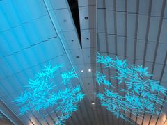 -TIAT DUTY FREE SHOP NORTH(羽田机场店)