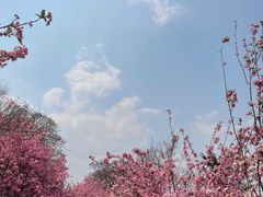 -昆明动物园