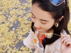 -三里屯东五街银杏大道