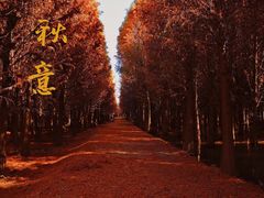 -捞渔河湿地公园