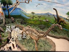 -辽宁古生物博物馆