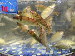 -揭阳钟记小食(福田新村店)
