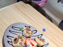 -喵屿·大理花园猫咖