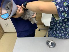 -爱侣宠医·鹦鹉专科·小型哺乳类·异宠专科(灵石路店)