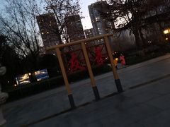 -木塔寺遗址生态公园