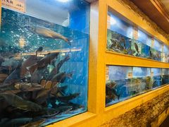 -围龙屋客家食府(福田店)