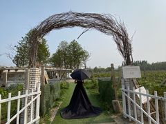 -安德鲁户外烧烤帐篷营地(马泉营店)