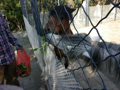 景点-长白岛森林公园