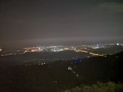 -大金鹰园