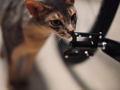 -TREK崔克自行车(碧云店)