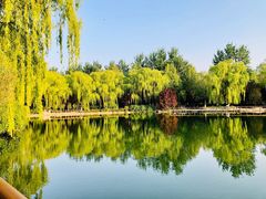 -济南植物园