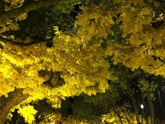 -横店影视城梦幻谷园区