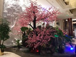 -成都世外桃源酒店-宴会厅·草坪婚礼·会议活动