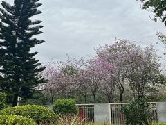 -荔湾区儿童公园