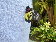 -碧桂园润杨溪谷温泉酒店