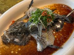 -陶缘一号·四季缘·老字号顺德菜·户外婚礼家宴(西滘店)