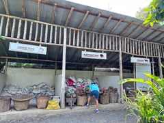 -大象粑粑造纸公园