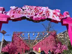 -北京凤凰岭