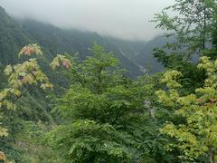 -太阳湾风景区
