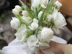 -知物癖(牛王庙店)