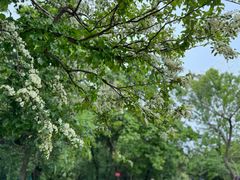 景点-虞山风景区