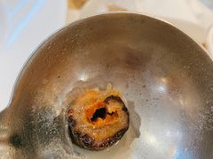 海参-喜上喜鸡煲翅(吉大店)