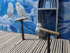 -成都浩海立方海洋公园