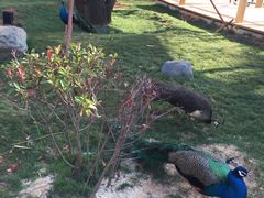 -云南艺术学院(呈贡校区)