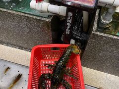 -蚝专家(北滘店)