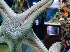 -太平洋海底世界