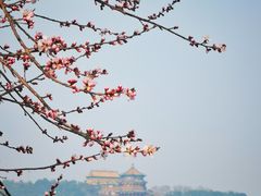 -颐和园