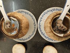 -達揚原味燉品(文明路店)