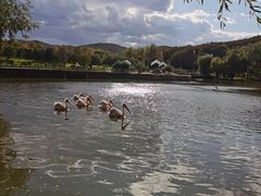 -哈尔滨北方森林动物园