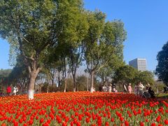 -院士公园