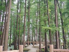 -东湖落雁景区