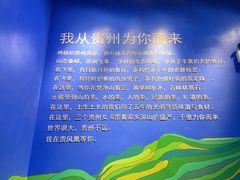 -贵凤凰贵州米粉(望京店)