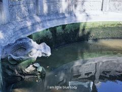 -西安大兴善寺