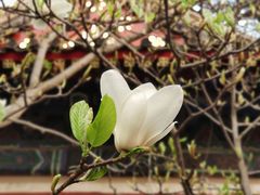 -北京艺术博物馆(万寿寺)