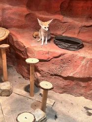 -Zoolung Zoolung动物主题公园(海信广场店)