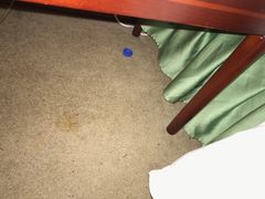 -上海尊茂酒店