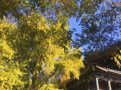 -国家图书馆·古籍馆