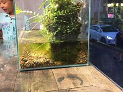 -甜心闲生传统手工冰粉(奎星楼店)