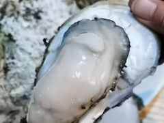 -蠔爺王志德生蚝馆(金沙湾店)
