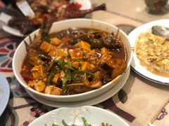 昂刺鱼烧豆腐-吉事利茶餐厅