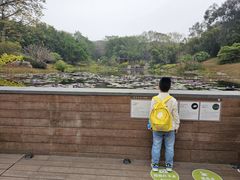 -云溪植物园