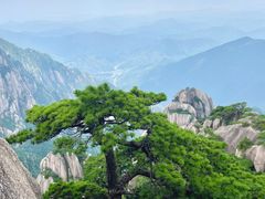 -黄山风景区